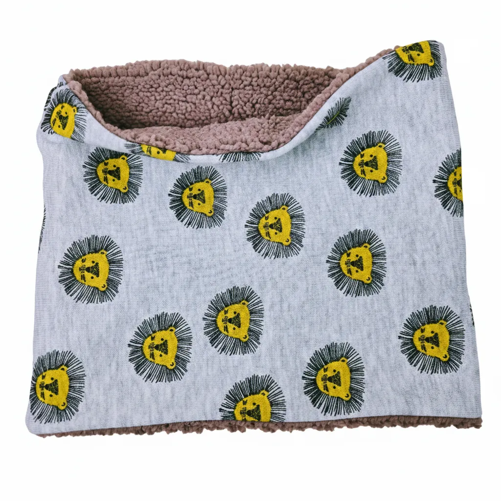 Col Chaud - Lion d'hiver