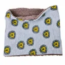 Col Chaud - Lion d'hiver